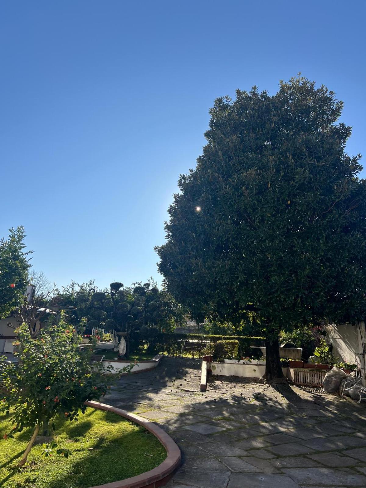 Maison Aielli 112 San Giuseppe Vesuviano 外观 照片